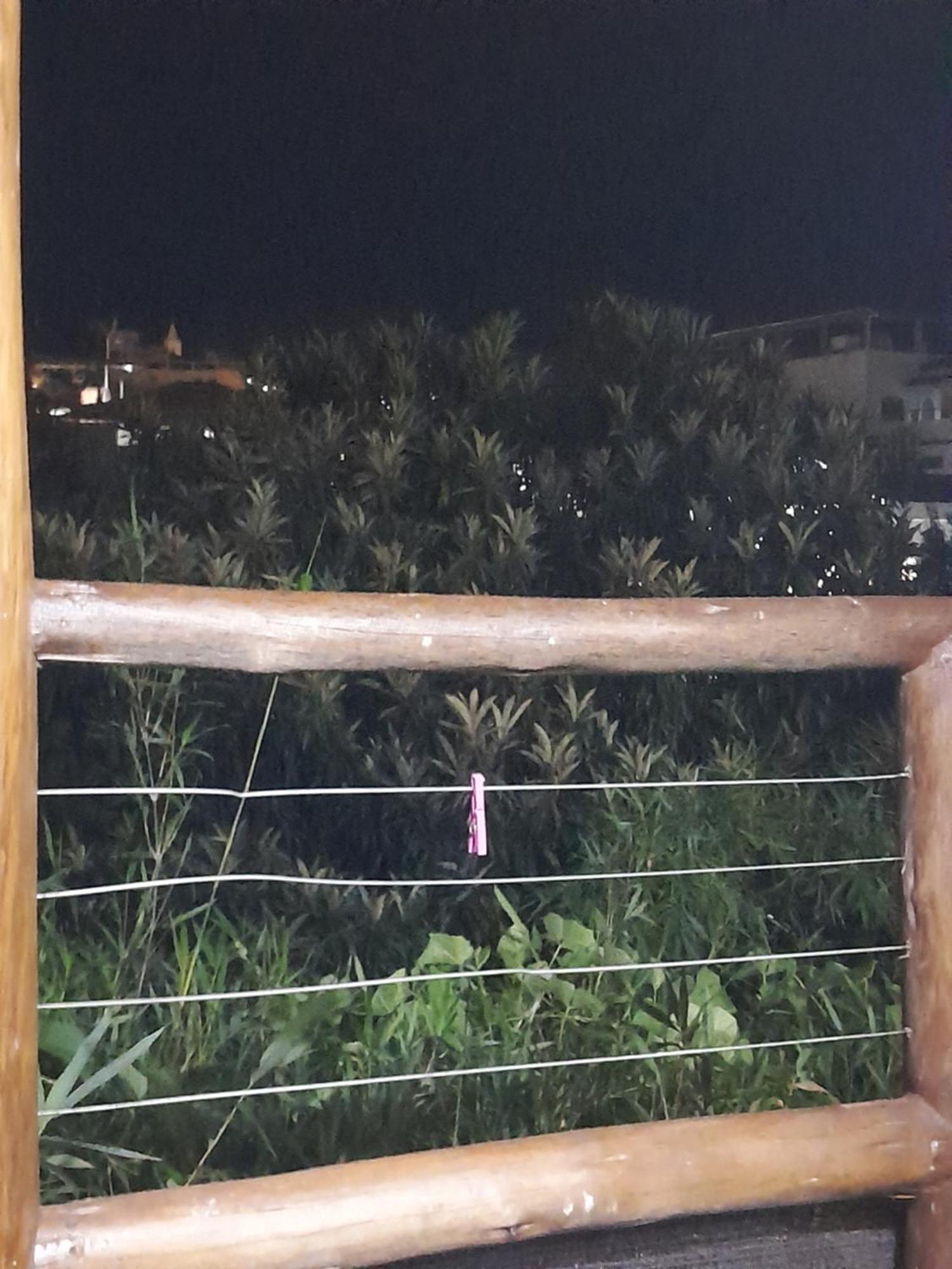 Chale Bambu3 Apartment Cunha Luaran gambar